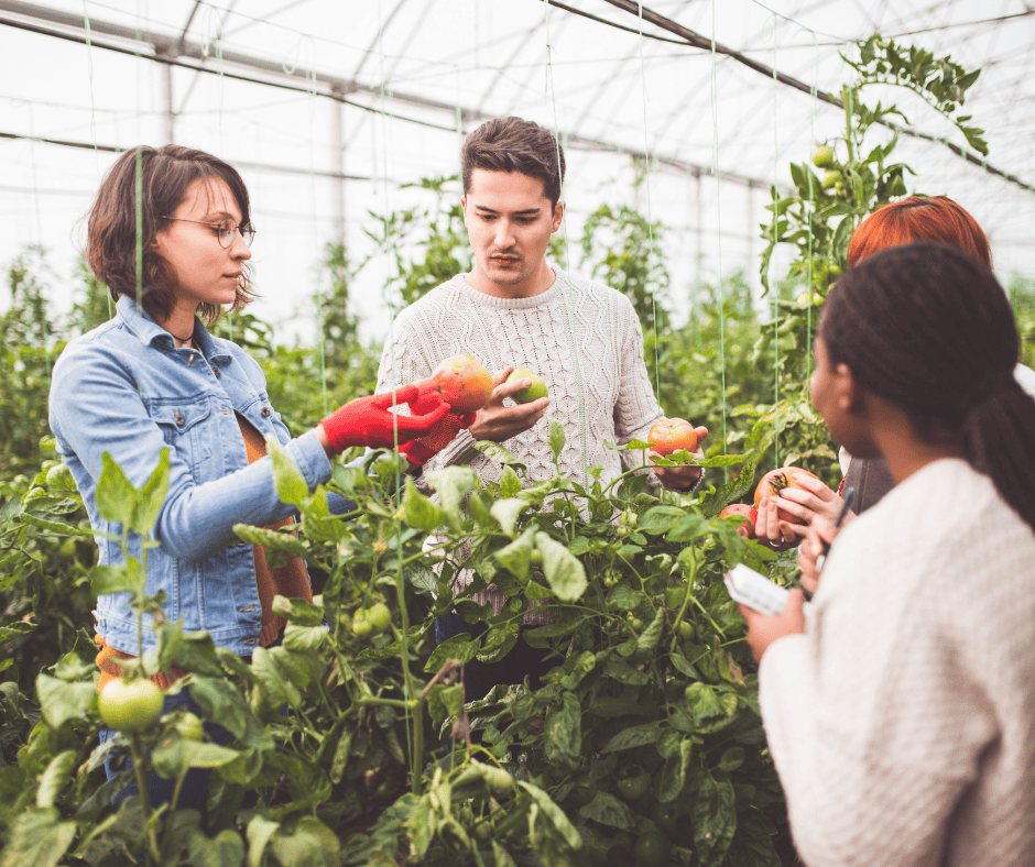 Our Daily Bread: the role of engineering in food security